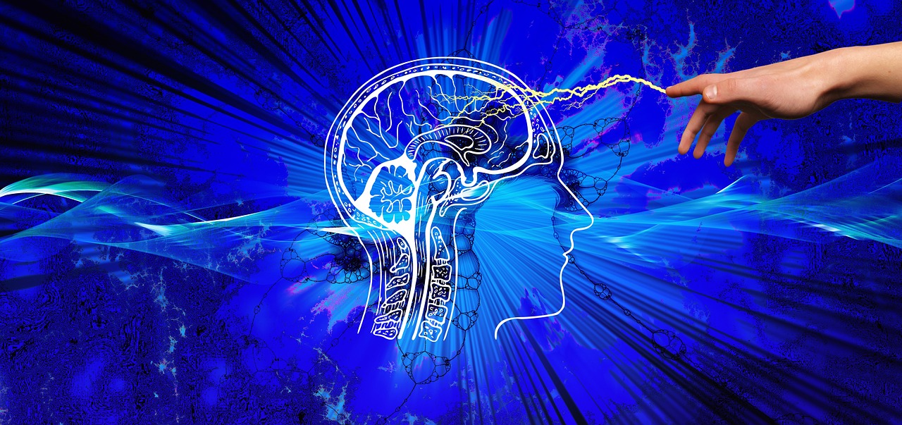 Ilustración de cabeza y cerebro humano